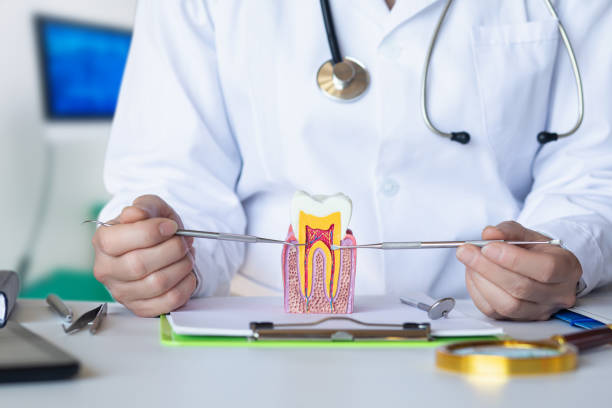 Best Emergency Root Canal Treatment in Flint, MI